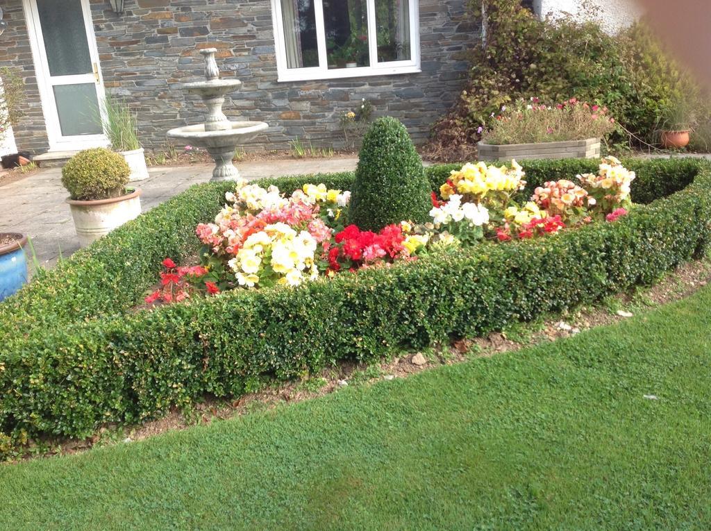 Bed and Breakfast Estuary View Farm à Kingsbridge  Chambre photo
